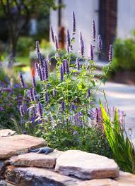 Landhausgarten Gartenideen Garden Planning Garden Design Meadow Garden