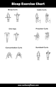 Best Bicep Exercise Chart