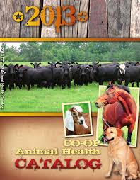 We used to take golden malrin and sprinkle about a tablespoon of the golden particles in an aluminum plate and it would attract and kill flies until the. Univeral Catalog By Brenda Craner Issuu