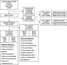 The area of redness often extends beyond the swelling. Plos One Skin Infections Due To Panton Valentine Leukocidin Pvl Producing S Aureus Cost Effectiveness Of Outpatient Treatment