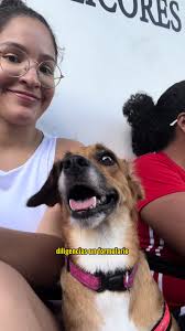 Jornadas De Esterilización De Mascotas Catia Gratis