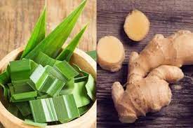 Saat makan buah jeruk jangan buat kulitnya. Minum Rebusan Daun Jahe Dan Pandan Tiap Pagi Bisa Berikan Manfaat Luar Biasa Bagi Tubuh Pasti Bikin Ketagihan Semua Halaman Sajian Sedap