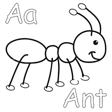 Free preschool coloring pages collections , all sets of coloring sheets activities for your kid. Ant Coloring Page For Toddlers Jpg 787 787 Toddler Coloring Book Insect Coloring Pages Animal Coloring Pages
