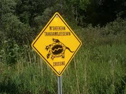 M Sheekehn Tahkaamojeegewin Crossing Native Canadian First Nations Eastern Woodlands