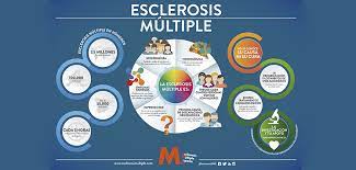 This can lead to a wide range of symptoms throughout the body. Que Es La Esclerosis Multiple Esclerosis Multiple Espana