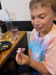 Sushi event at Greers Ferry Lake