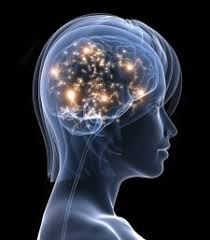 What is LENS Neurofeedback? — Enriching Families Now offering Zoom sessions