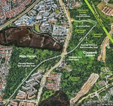 Check spelling or type a new query. Clementi Forest Trail Proposed By Nature Lover With Elevated Boardwalk Into Heart Of Misty Plain