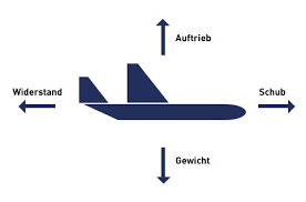 Deutschlehrer mit langjähriger erfahrung haben nach jedem text kannst du dein leseverständnis überprüfen, indem du die begleitfragen beantwortest. Swr Warum Fliegen 4 1