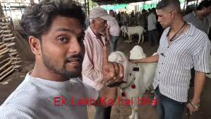 Bakra Mandi || Kalyan Mumbai. 2024 The World Blogger
