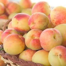 If enough time has been allowed to pass, and the apricot tree is otherwise healthy, there are a few things to do to help it become fruitful. Sugar Pearls Apricot Reachables Gardens Alive