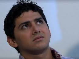 La rosa de Guadalupe