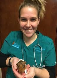 Journal of the World Aquatic Veterinary Medical Association