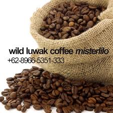 We Are Independent House Of Luwak Liar Coffee From Gayo Sumatra Indonesia Only Collect And Process Specialty Beans From Wild Luwak Not Ca Kopi Semarang Produk