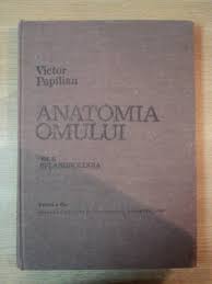 1 aparatul locomotor de victor papilian. Anatomia Omului De Victor Papilian Vol Ii Splanhnologia Editia A V 1982