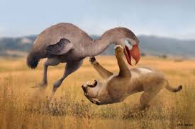 Check spelling or type a new query. The Menacing Reign Of The Terror Birds Earth Archives