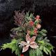 Gingerbread Joy Workshop – Greenery Arrangement event in Brant, ON