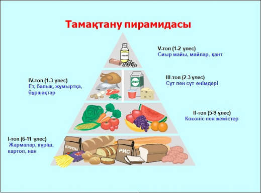Дұрыс тамақтану-денсаулық кепілі. Сынып сағаты