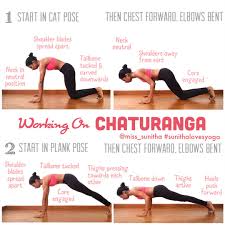 Sunitha Miss Sunitha On Somegram Posts Videos Stories Somegram Chaturanga Yoga Push Up In My Yoga Tutorial Easy Yoga Workouts Post Workout Stretches