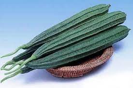 Check spelling or type a new query. Di Papua Biji Gambas Obat Diabetes Yang Mujarab Kompasiana Com