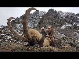 bezoar ibex hunting frontier outdoors metin aydin youtube ในป 2021