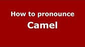 Such a large number of vowels and vowel sounds makes it clear that every letter can be read in different ways and that each of these ways has its own rules. How To Pronounce Camel Youtube