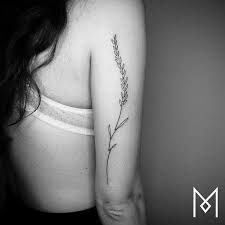 While ziprecruiter is seeing annual salaries as high as $309,000 and as low as $12,000. One Line Tattoo Mo Ganji Lavender Tattoo Continuous Line Tattoo