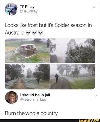 Looks Like Frost But It S Spider Season In Australia Burn The Whole Country Ifunny Really Funny Memes Funny Relatable Memes Funny Memes