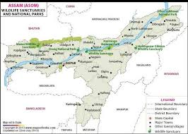 Assam map is an online application where you can explore any place in assam , this. Draw The Map Of Assam Locate Three National Park And Three Wildlife Sanctuary Brainly In