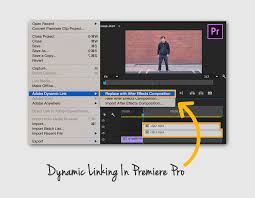 Comparison of adobe after effects vs. Premiere Pro Vs After Effects Major Differences With Infographic