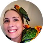 Keep the Suns shining in Guyana: Recovering the Sun Conure (Sun parakeet)