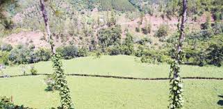 Postales desde Manabao