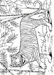 Of ben je juf of meester en zoek je mooie kleurplaten voor je leerlingen? Kleurplaten Dieren Tijger Coloring And Drawing