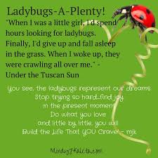 Page Not Found Mindy J Kaleta Ladybugs A Plenty Ladybug Quotes Under The Tuscan Sun Ladybug
