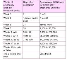 Hcg Levels At 4 Weeks 4 Days June 2019 Babies Forums