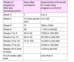 Hcg Levels At 4 Weeks 4 Days June 2019 Babies Forums