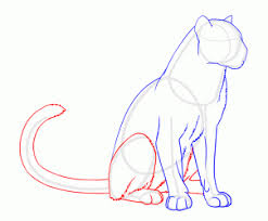 How To Draw Panthers Black Panthers Step By Step Rainforest Animals Animals Free Online Drawing Tutor Black Panther Drawing Leopard Sketch Animal Drawings