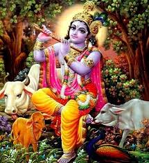 pin by ì¸ì„­ ì˜¤ on krishna lord krishna krishna lila indian gods krishna lord krishna krishna lila