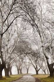 C A Christie Photography Canberra Australia Australia Capital Australian Capital Territory