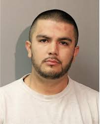 ᐅ Illinois Criminal Records 2009-2026