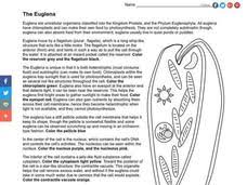 They live in quiet or stagnant ponds. Kingdom Protista Lesson Plans Worksheets Reviewed By Teachers