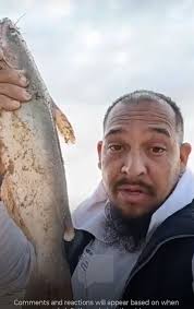 Fishing Lake at Boggart Hole Clough, Blackley, Manchester today