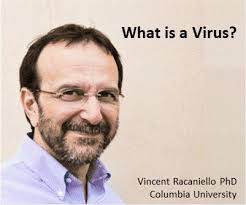 Palm Springs Hearing Seminars 'Providing Hearing Healthcare During the  COVID-19 Pandemic' Seminar to Take Place December 4-5