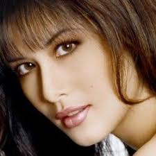 VietCeleb.BlogSpot.com: Thanh Hang (Vietnamese-American Model)