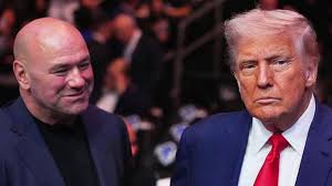 Trump considering UFC fight