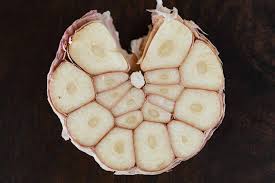 More images for how long does garlic last in pantry » How Long Does Garlic Last And How To Tell If It Went Bad Daring Kitchen