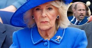 Photographer Claims Camilla Is Tired of William 'Creating Issues' in the  Monarchy: 'She's Told…'