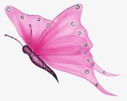 Choose from 10000+ butterfly graphic resources and download in the form of png, eps, ai or psd. Pink Transparent Butterfly Gif Transparent Png 566x450 Free Download On Nicepng
