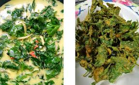 Cara tanam bayam brazil paling mudah. Jom Tengok Sini Cara Tanam Bayam Brazil Dengan Mudah