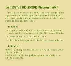 La Lessive De Lierre Hedera Helix Les Feuilles Du Lierre Contiennent Des Saponines Du Lat Sapo Savon Molecules Produisant Une Lessive Savon Emulsifiant